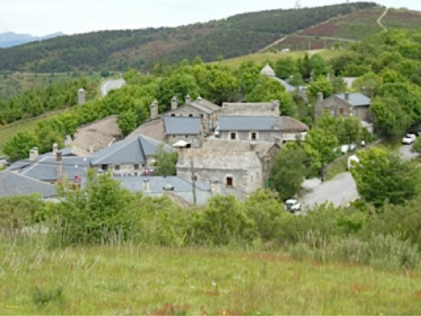 CAMINO DE SANTIAGO