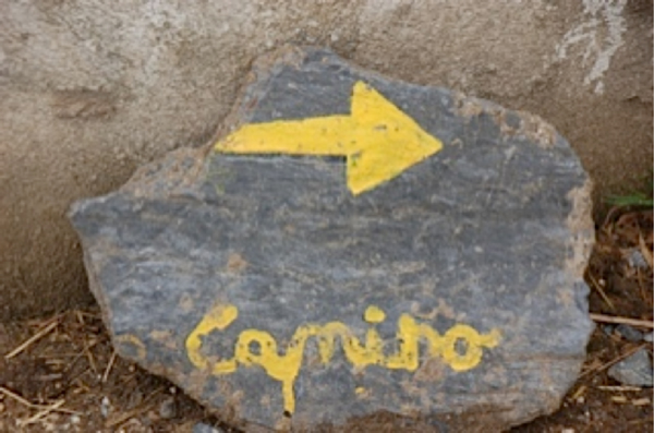 CAMINO DE SANTIAGO